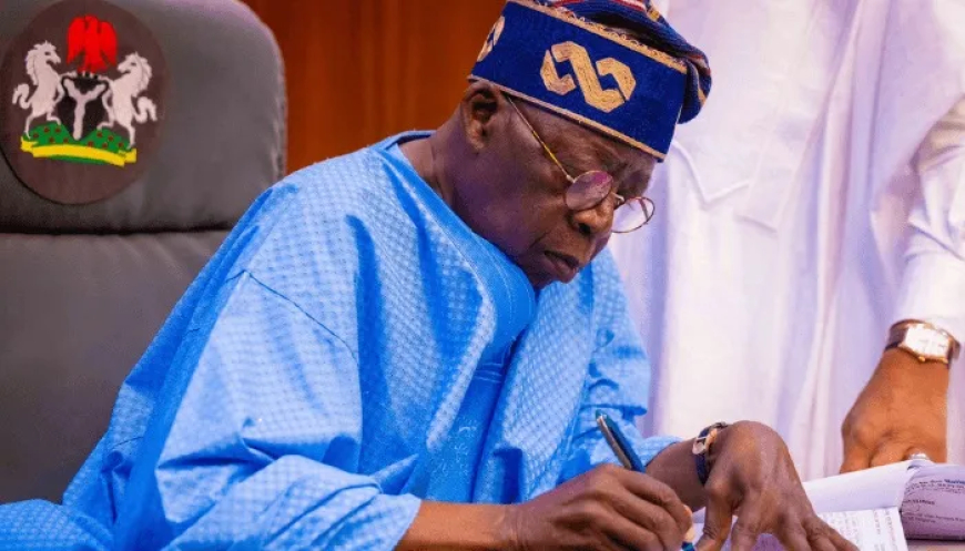 Tinubu Appoints Fresh Talent: A Look at the New Faces in Leadership Roles