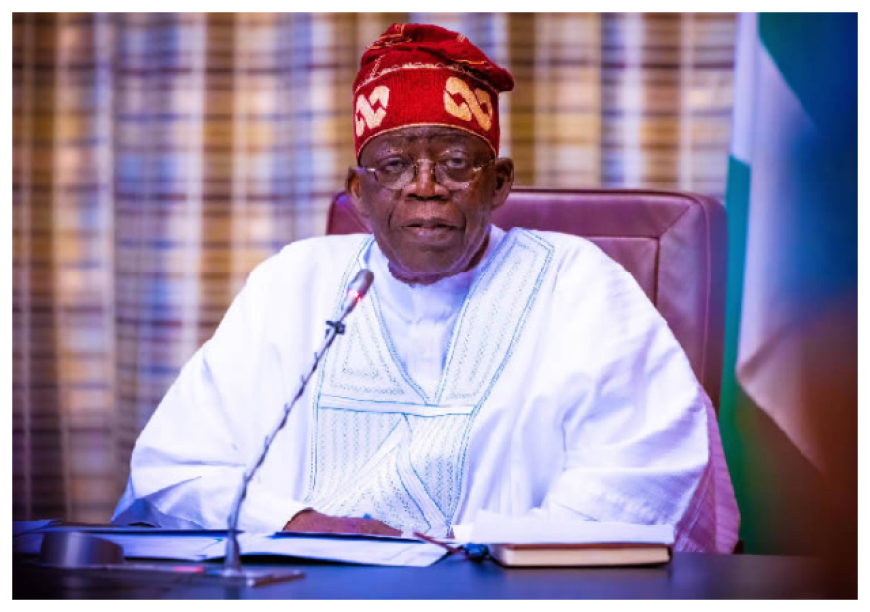 Tinubu Appoints New Leadership for NIWA and Shippers' Council