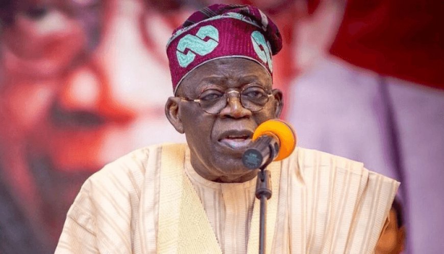 Tinubu's Commitment to Investing in Nigerian Tertiary Education